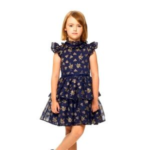 Janie and Jack NWOT in BOX Holiday Glitter Floral Chiffon Dress 3T Blue and Gold